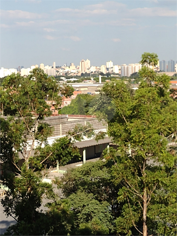 Apartamento com 3 dormitórios à venda, 63 m² - Jardim Andaraí