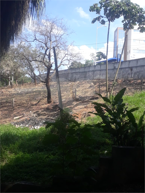 Loteamento / Terreno 