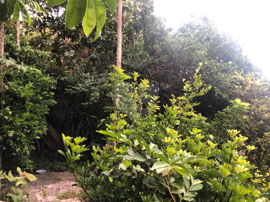 CASA TÉRREA em CASA VERDE