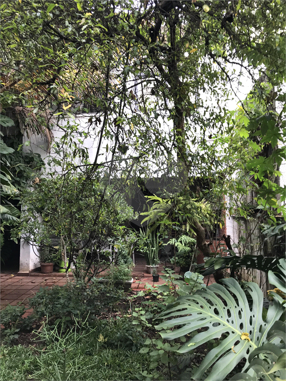 Sobrado em rua tranquila e arborizada na Vila Mariana