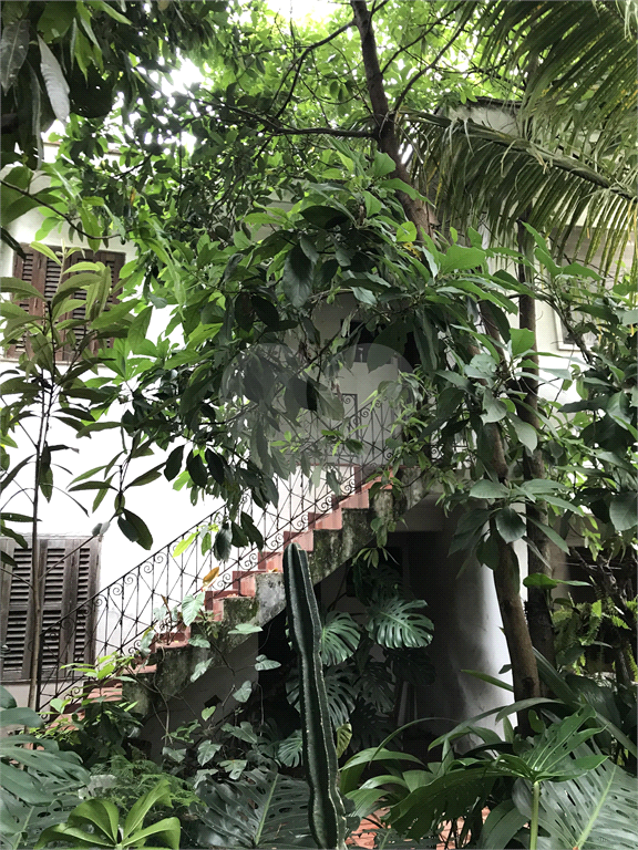 Sobrado em rua tranquila e arborizada na Vila Mariana