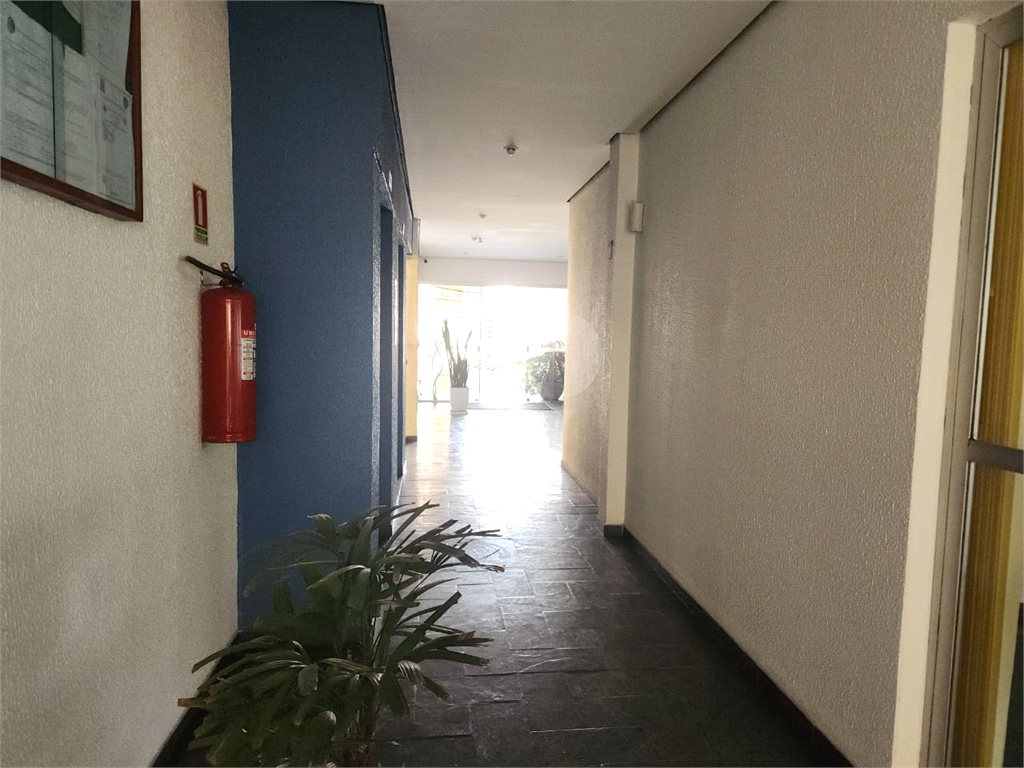 Apartamento de 65m² com varanda ,3 quartos, Horto Florestal, São Paulo