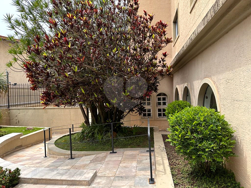 APARTAMENTO em JARDIM FRANCA