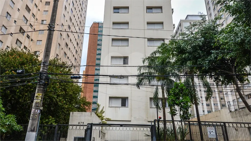 Moema com tudo a pé