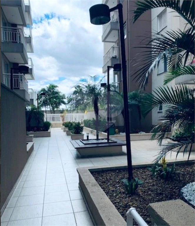 APARTAMENTO em MANDAQUI