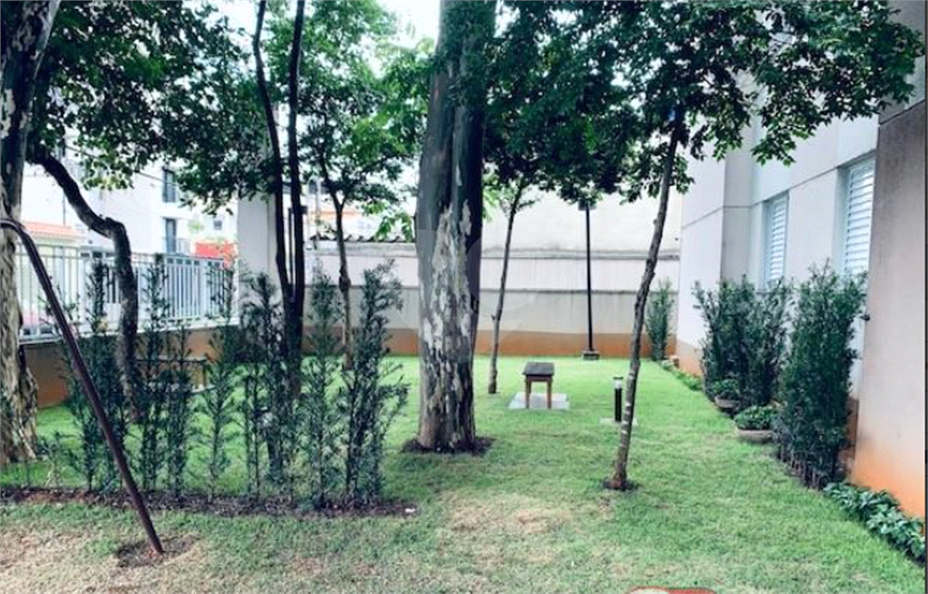 APARTAMENTO em MANDAQUI