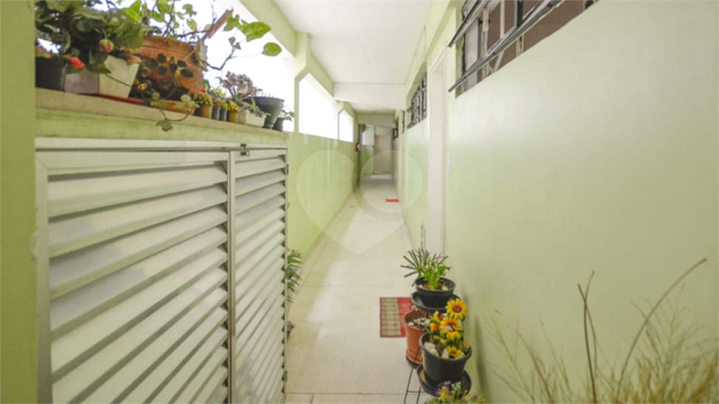 Apartamento em Bela Vista