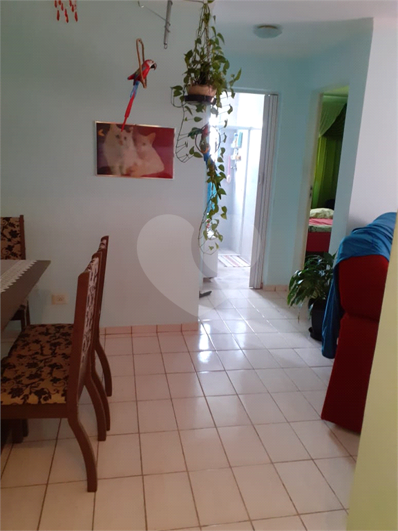Apartamento em Guarulhos Sp
