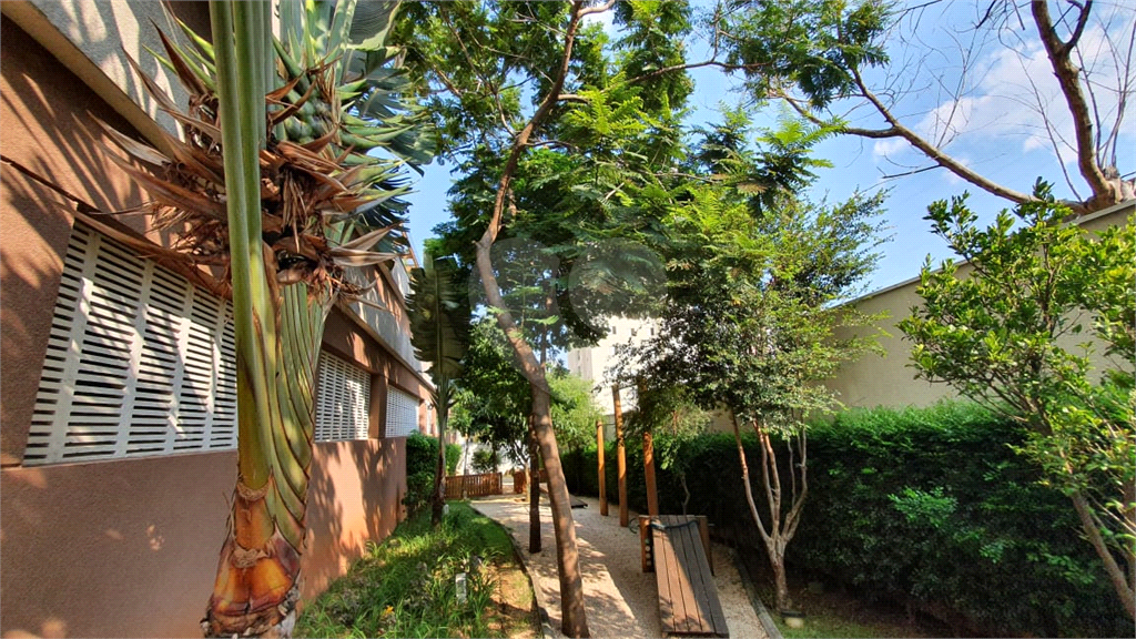 Lindo Apartamento no Smart - Santa Teresinha