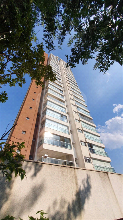 Lindo Apartamento no Smart - Santa Teresinha