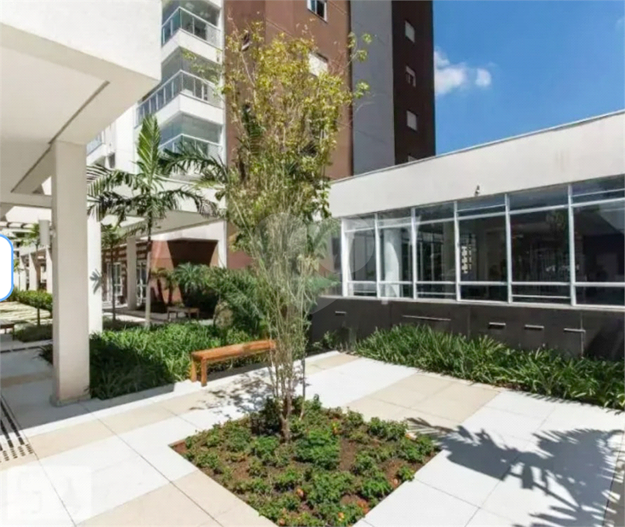 Lindo Apartamento no Smart - Santa Teresinha