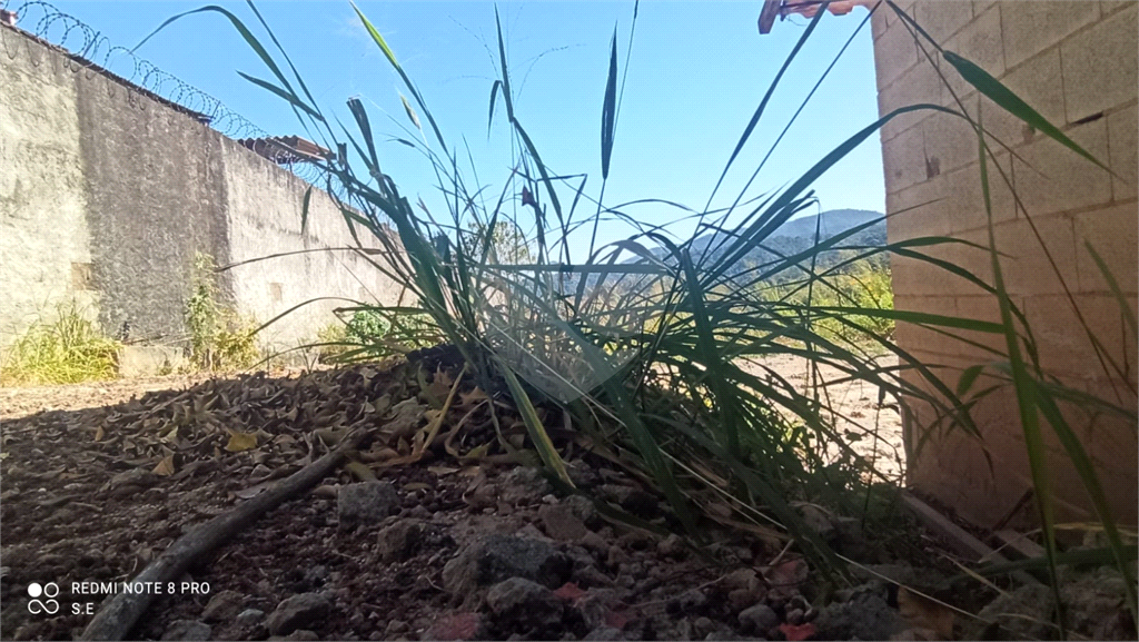 TERRENO em HORTO