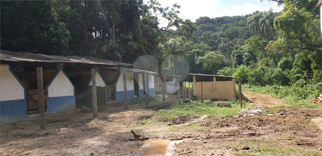 Fazenda à venda com 4 quartos, 350m² - Foto 18