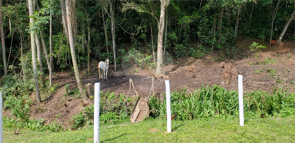 Fazenda à venda com 4 quartos, 350m² - Foto 16