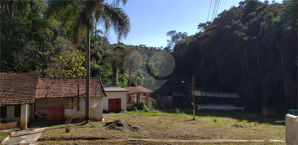 Fazenda à venda com 4 quartos, 350m² - Foto 7