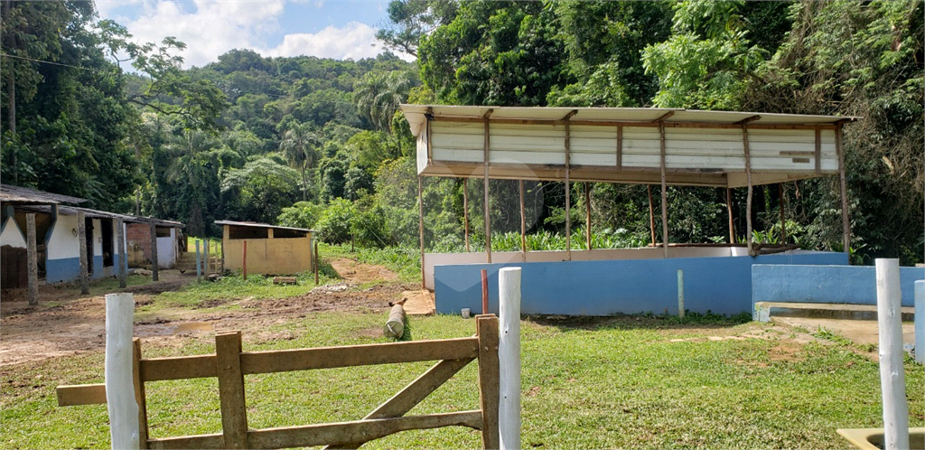 Fazenda à venda com 4 quartos, 350m² - Foto 15