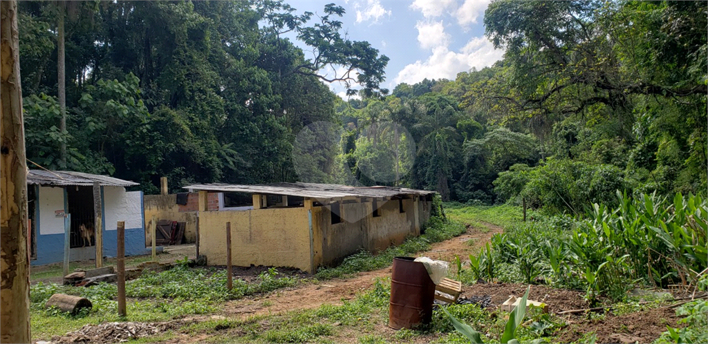 Fazenda à venda com 4 quartos, 350m² - Foto 21