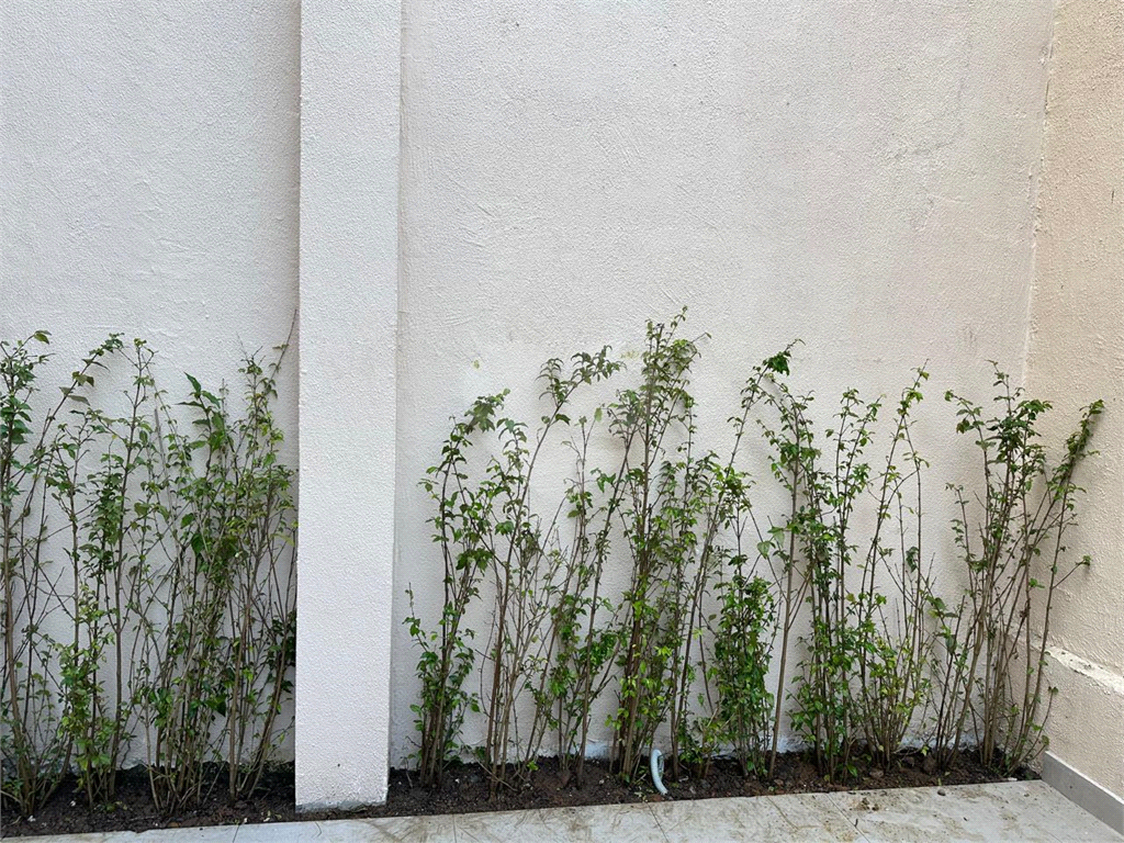 Casa, 3 quartos, 178 m² - Foto 23