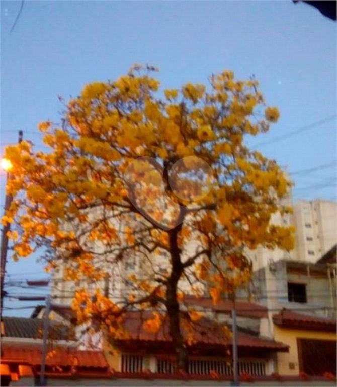 Excelente Sobrado à venda com 356 m² e 3 dormitórios, Vila Rosália, Guarulhos.