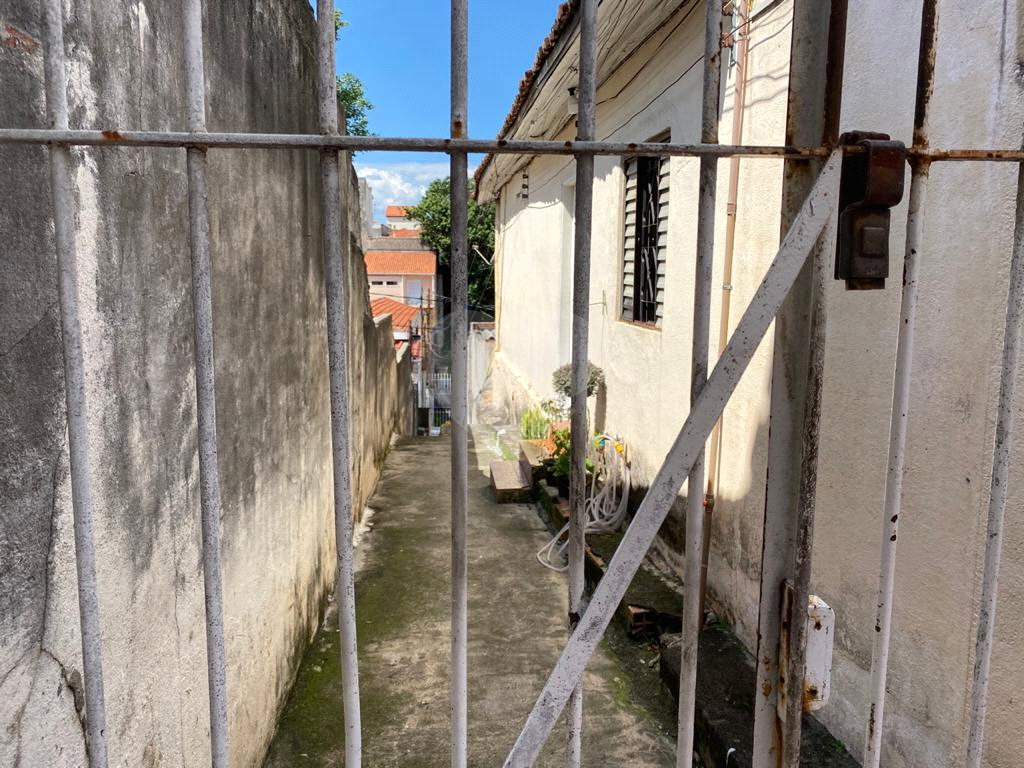 Terreno 10 x 40m Tucuruvi próximo Assai