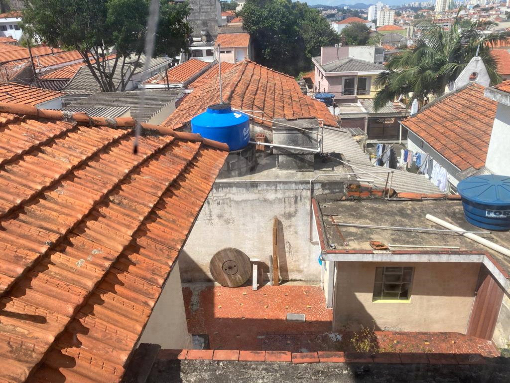 Terreno 10 x 40m Tucuruvi próximo Assai