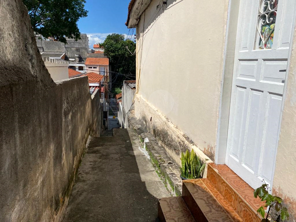 Terreno 10 x 40m Tucuruvi próximo Assai