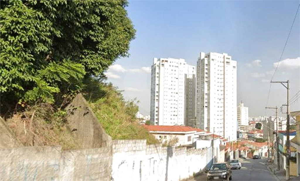 TERRENO em VILA GUILHERME