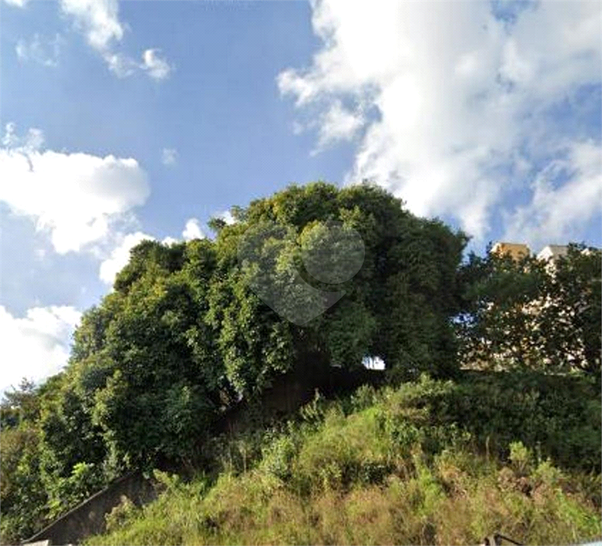 TERRENO em VILA GUILHERME