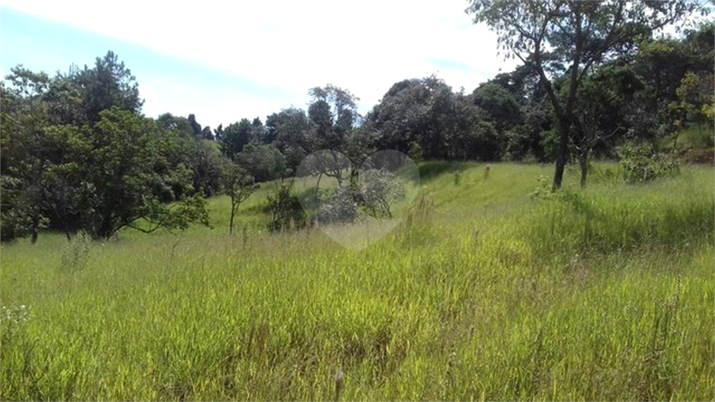 TERRENO em CENTRO