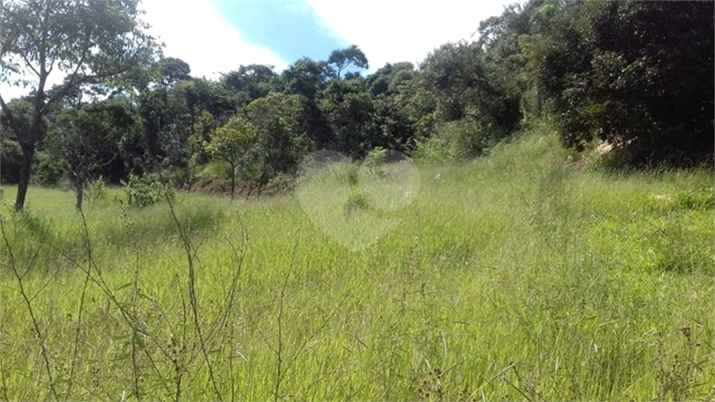 TERRENO em CENTRO