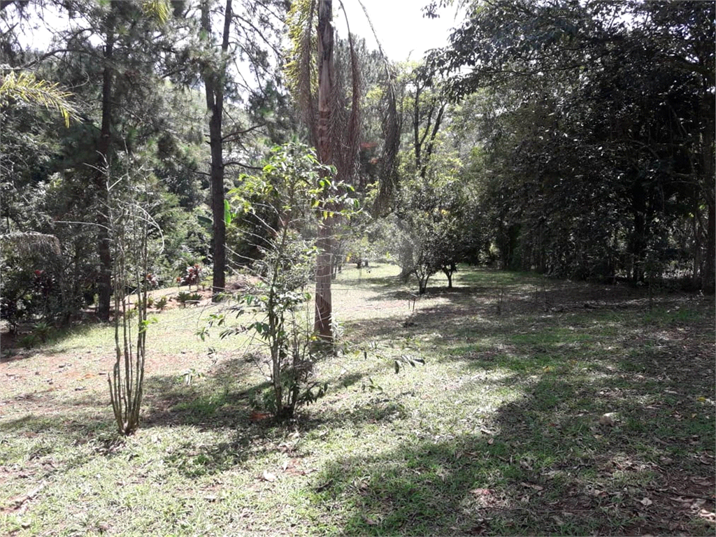 IMPERDÍVEL - SÍTIO EM PIRAPORA DO BOM JESUS