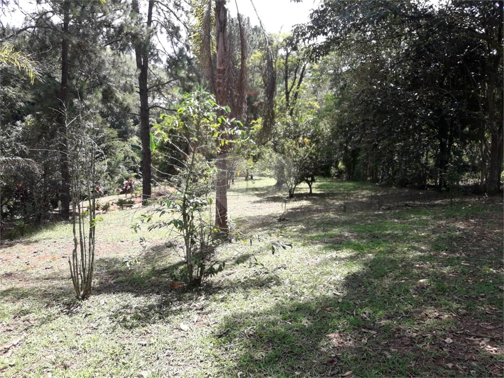 IMPERDÍVEL - SÍTIO EM PIRAPORA DO BOM JESUS