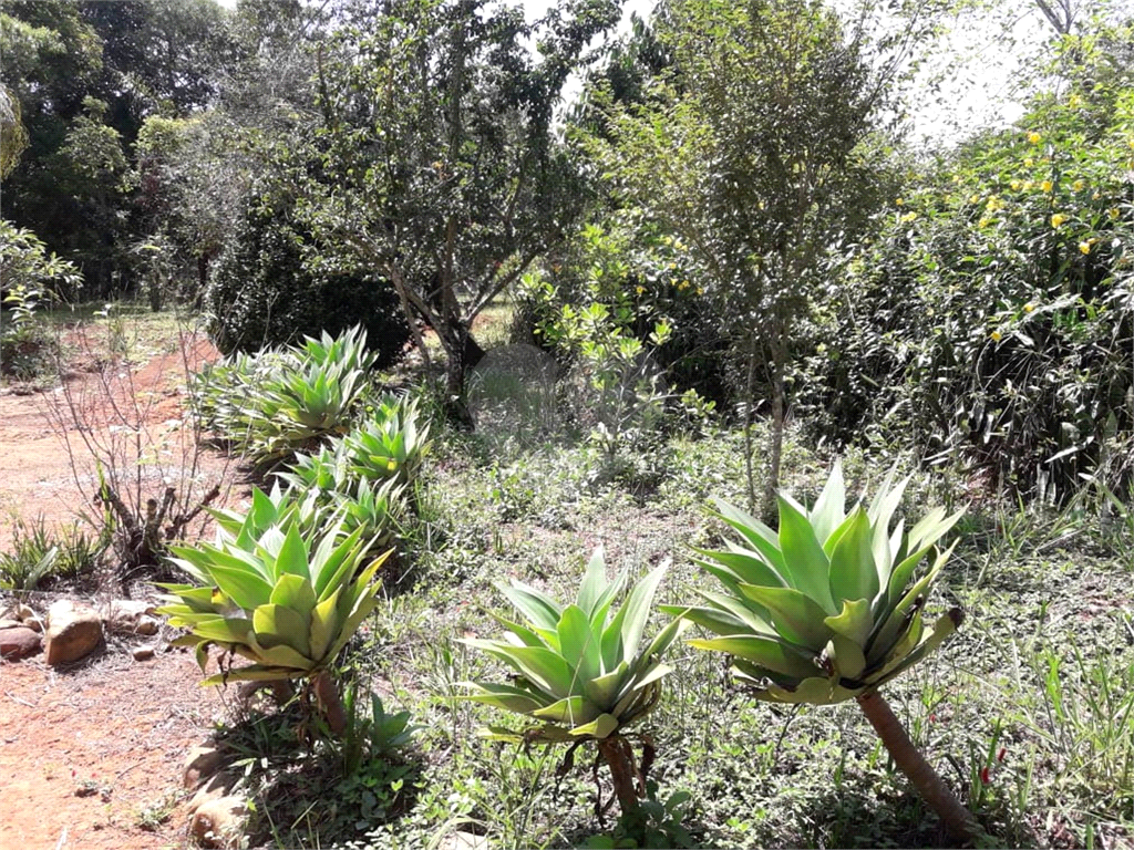 IMPERDÍVEL - SÍTIO EM PIRAPORA DO BOM JESUS