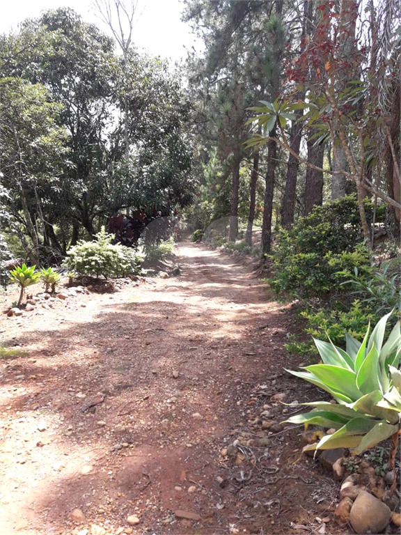 IMPERDÍVEL - SÍTIO EM PIRAPORA DO BOM JESUS