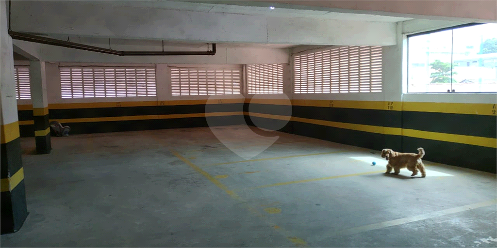 Apartamento para venda no Jardim São Paulo