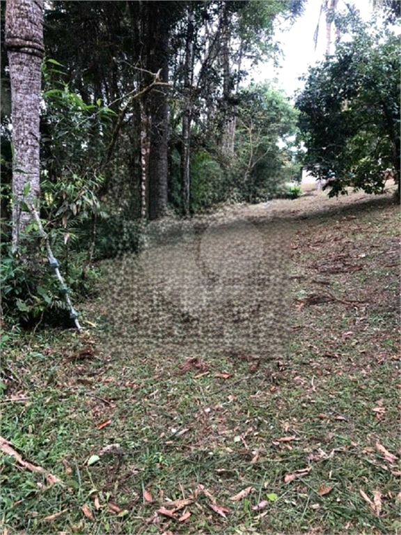 SÍTIO em CENTRO