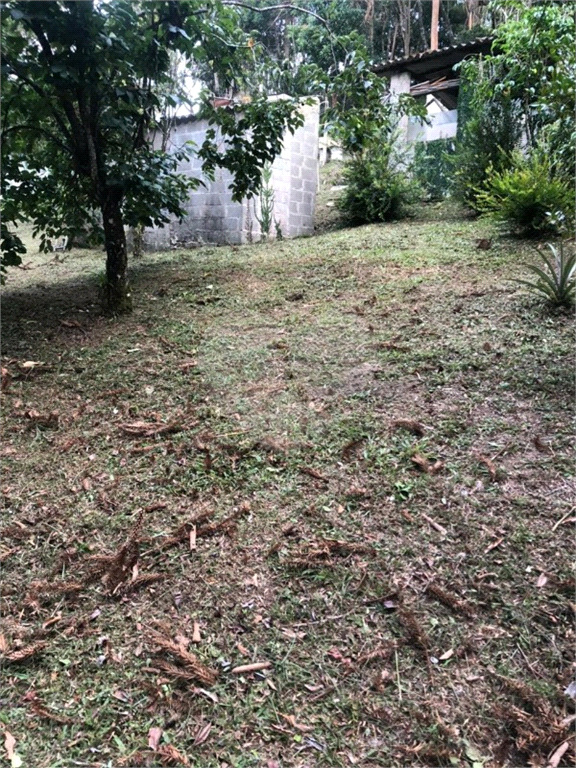 SÍTIO em CENTRO
