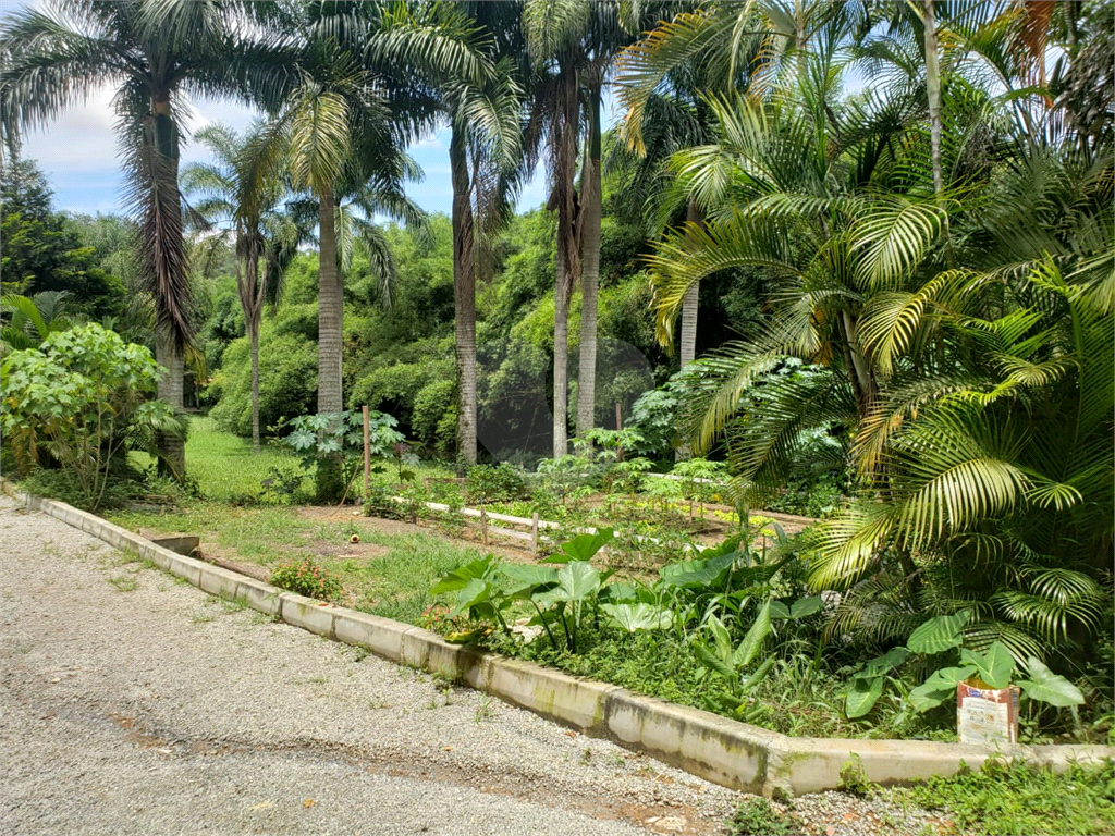 TERRENO em HORTO