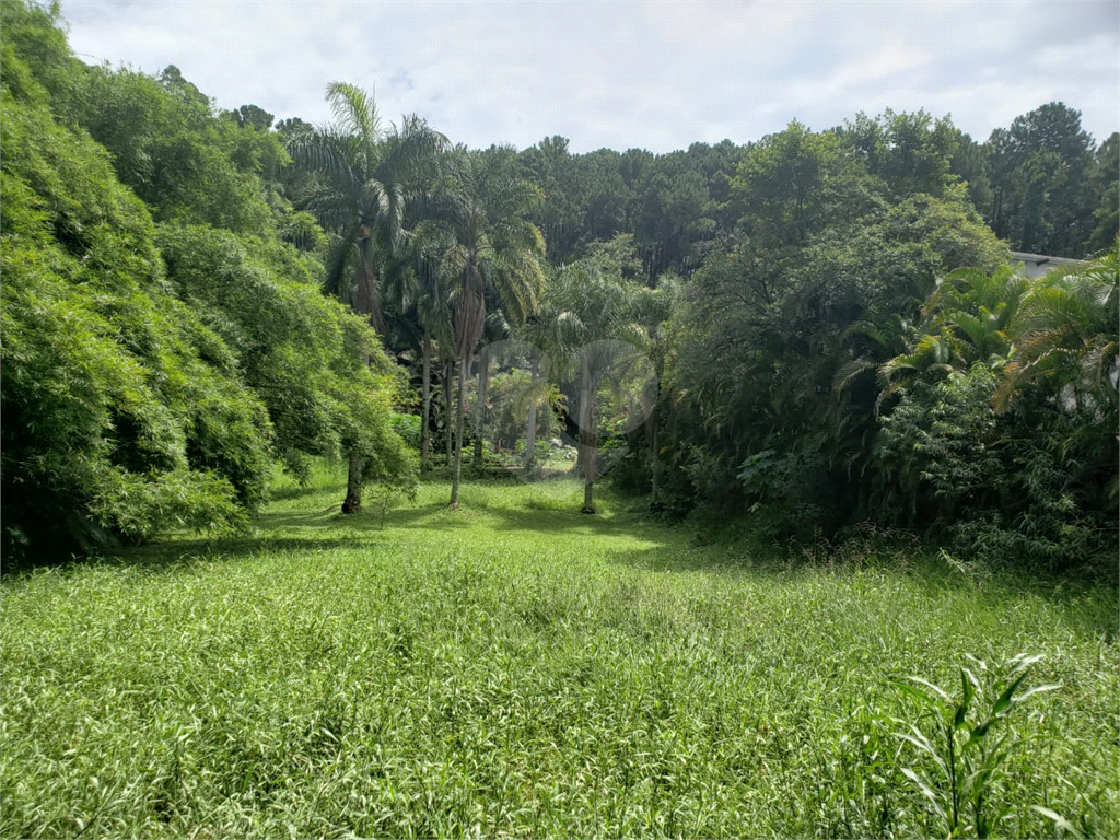 TERRENO em HORTO