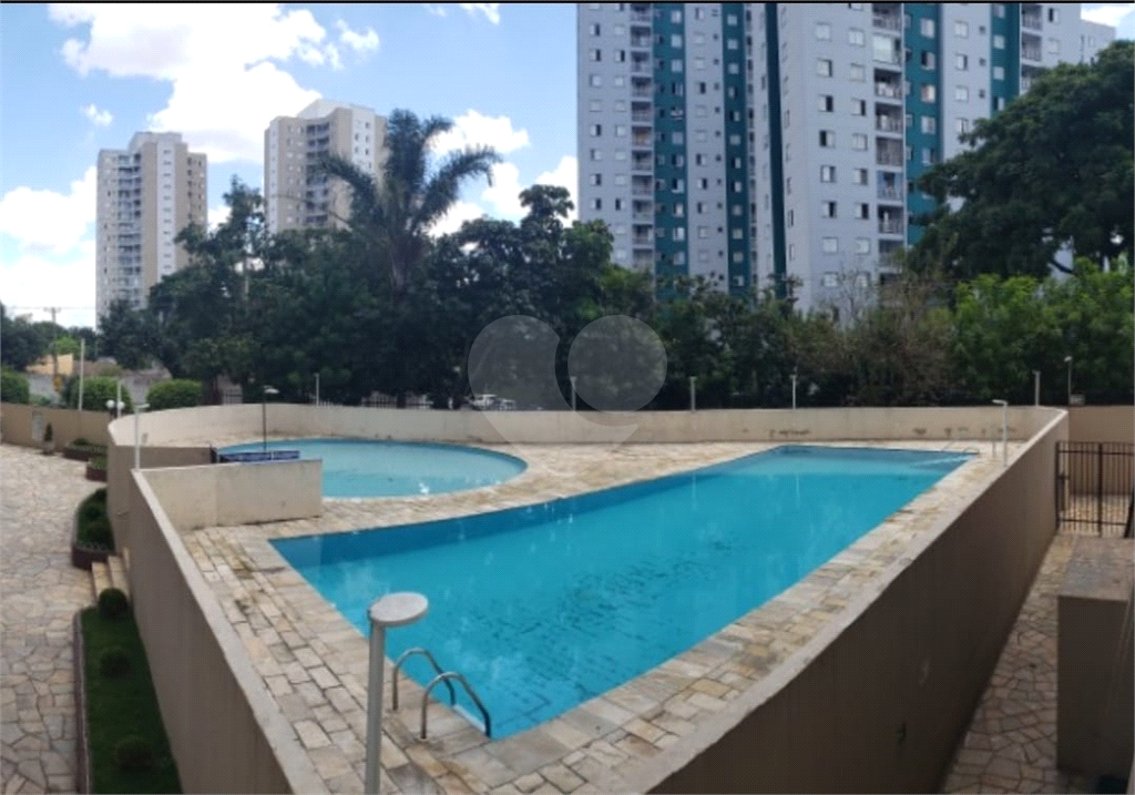 Apartamento Cobertura So Paulo  PARQUE NOVO MUNDO  