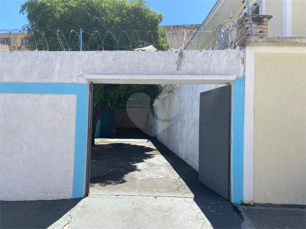 otima casa terra casa verde