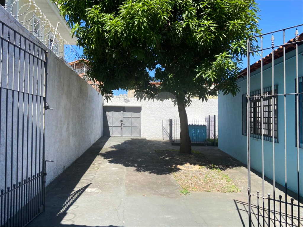 otima casa terra casa verde