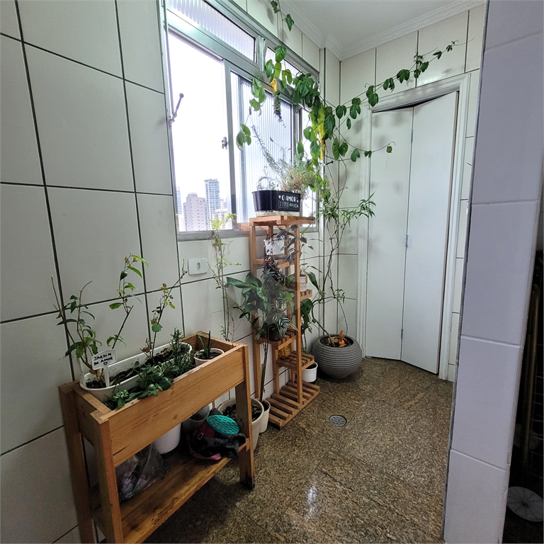 Apartamento próximo ao metrô Santana, 3 dormitórios 2 banheiros e 1 vaga