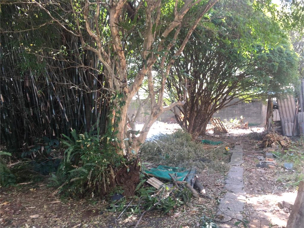 TERRENO em CUPECÊ