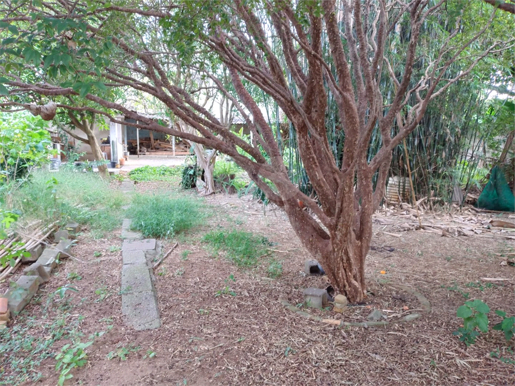 TERRENO em CUPECÊ