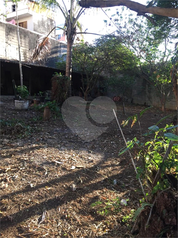 TERRENO em CUPECÊ