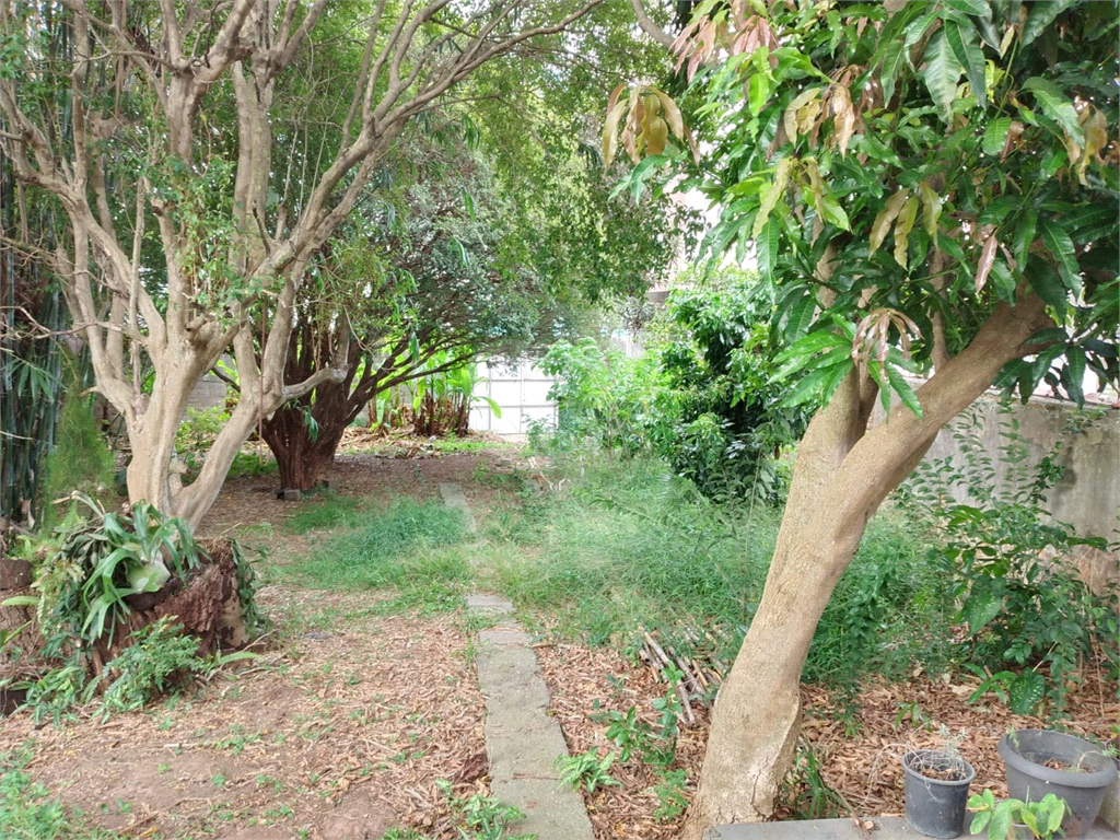 TERRENO em CUPECÊ
