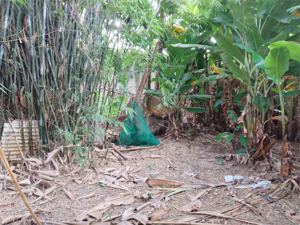 TERRENO em CUPECÊ