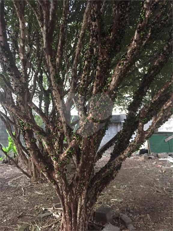 TERRENO em CUPECÊ