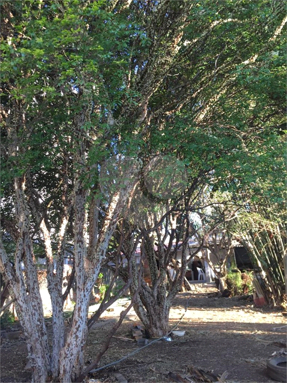 TERRENO em CUPECÊ